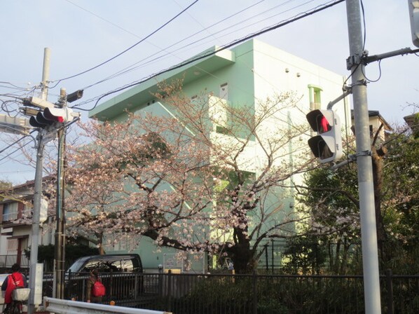 鎌倉女子大隣マスカットハウスの物件外観写真